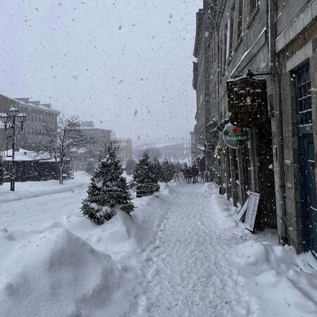 snowy day